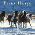Paint Horse 2012 Calendar