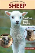 Sheep: Small-Scale Sheep Keeping For Pleasure And Profit