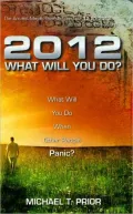 2012 What Will You Do?
