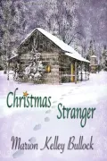 Christmas Stranger