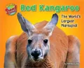 Red Kangaroo: The World's Largest Marsupial