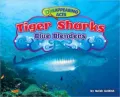 Tiger Sharks: Blue Blenders