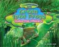 Green Tree Frogs: Colorful Hiders