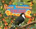 Toco Toucans: Bright Enough to Disappear