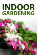 Indoor Gardening