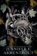 Book cover of A Light in the Flame