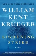 Book cover of Lightning Strike