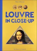 The Louvre in Closeup