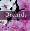 Orchids