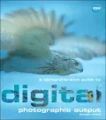 A Comprehensive Guide to Digital Photographic Output
