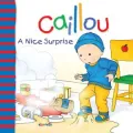 Caillou: A Nice Surprise