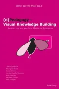 (e) Pedagogy