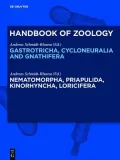 Nematomorpha, Priapulida, Kinorhyncha, Loricifera