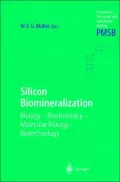 Silicon Biomineralization Biology, Biochemistry, Molecular Biology, Biotechnology