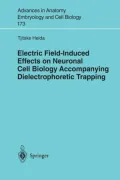 Electric Field-Induced Effects on Neuronal Cell Biology Accompanying Dielectrophoretic Trapping