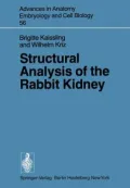 Structural Analysis of the Rabbit Kidney