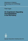 On Angiotensin-Degrading Aminopeptidases in the Rat Kidney