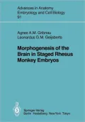 Morphogenesis of the Brain in Staged Rhesus Monkey Embryos
