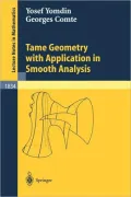Tame Geometry with Application in Smooth Analysis