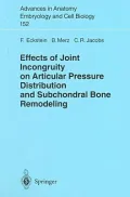 Effects of Joint Incongruity on Articular Pressure Distribution and Subchondral Bone Remodellng