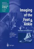 Imaging of the Foot and Ankle : Techniques and Applications