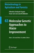 Molecular Genetic Approaches to Maize Improvement