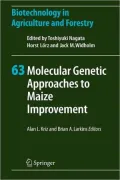 Molecular Genetic Approaches to Maize Improvement