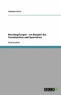 Beschimpfungen - Am Beispiel Des Franz Sischen Und Spanischen