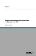 Diagnostik Und Individuelles F Rdern Am Beispiel Von Lrs