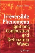 Irreversible Phenomena: Ignitions, Combustion and Detonation Waves