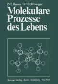 Molekulare Prozesse Des Lebens