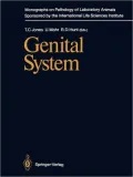 Genital System