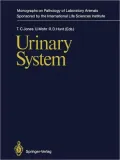 Urinary System
