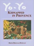 Yo-Yo: Kidnapped in Provence