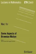 Some Aspects of Brownian Motion : Some Recent Martingale Problems