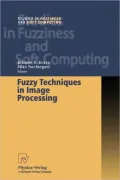 Fuzzy Techniques in Image Processing