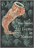 Art Forms in Nature: The Prints of Ernst Haeckel