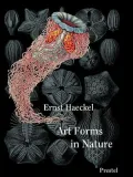 Prestel Mini Art Forms in Nature