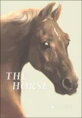 The Horse : Prestel Mini