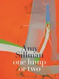 Amy Sillman