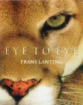 Eye to eye