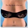Big Book of Breasts