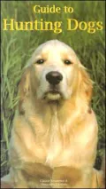 Guide to Hunting Dogs