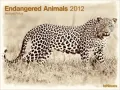2012 Endangered Animals Super Poster (Horizontal) Calendar