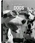 Elliott Erwitt's Dogs