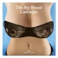 2012 Big Breasts Wall Calendar