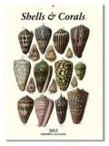 Shells 2012 Calendar