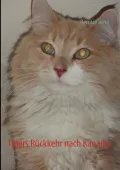 Tigers R Ckkehr Nach Kanada