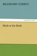 Birds in the Bush