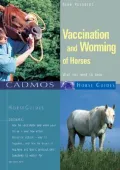 Vaccination and Worming of Horses : What You Need to Know